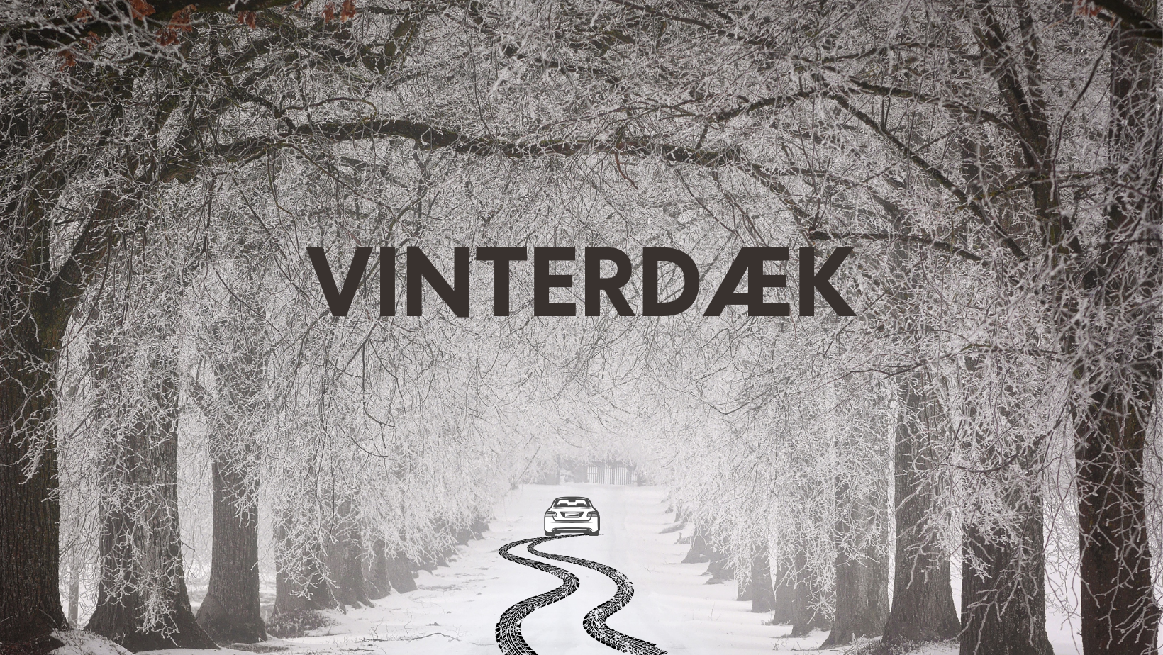 Vinterdæk 2023 Vinterhjul 2023